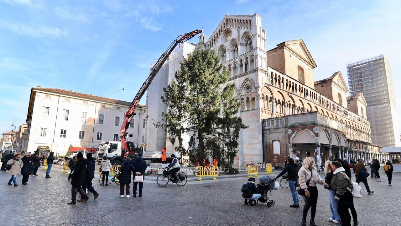 Ferrara, l’albero di Natale è già in piazza: quando si accenderà