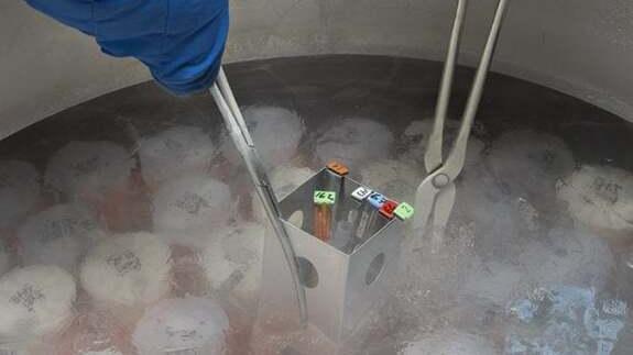 Lagosanto, inchiesta sugli embrioni: punita la dottoressa che segnalò le anomalie