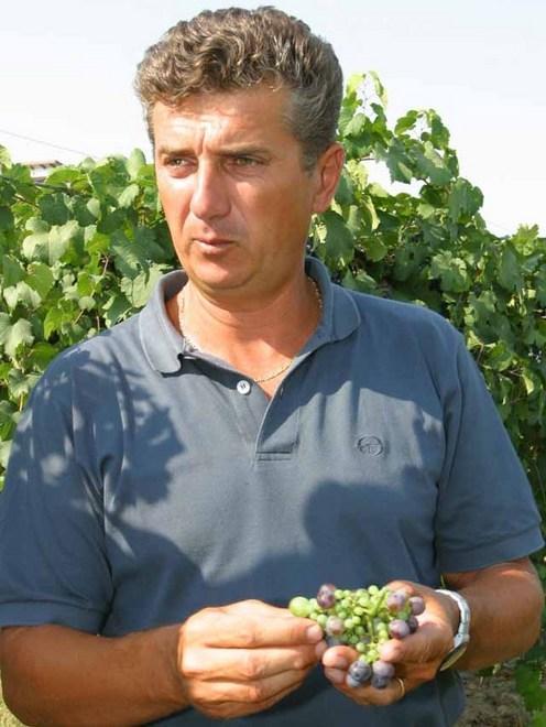«Quotazioni ok grazie alla domanda estera» 