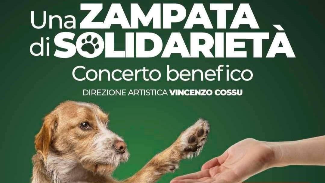 Sassari, al Tanit una “zampata” di solidarietà
