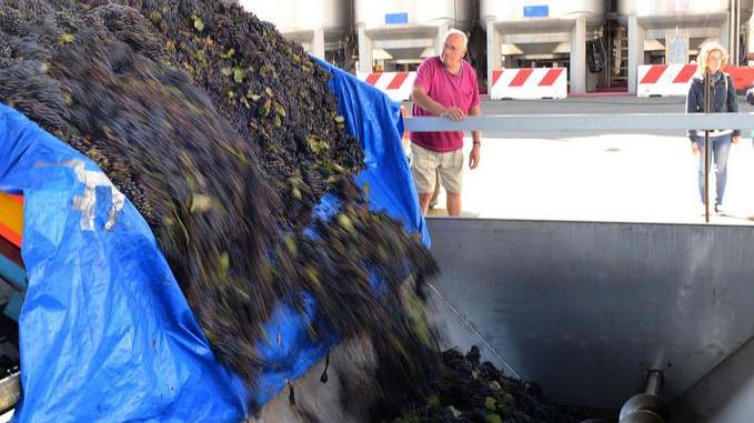 La Cantina di Sorbara adesso si fregia dei “Tre Bicchieri”