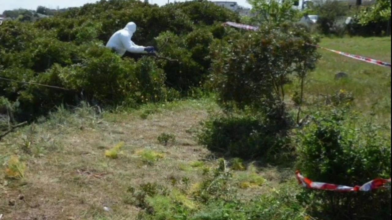 Poeta di strada ucciso a Porto Torres, archiviata la posizione di Carboni