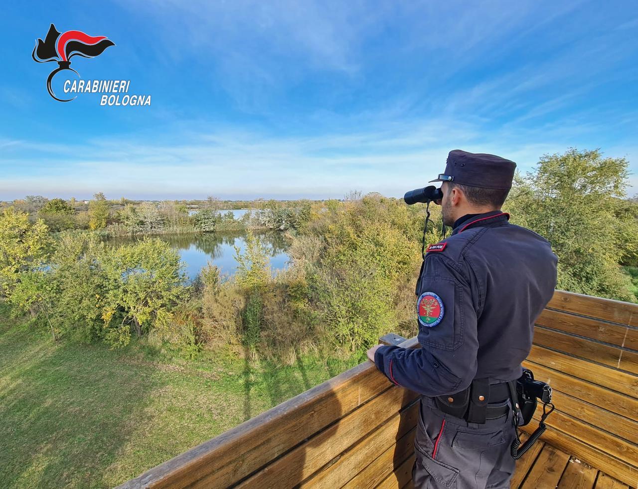
	Un carabiniere forestale al lavoro (foto d'archivio)

