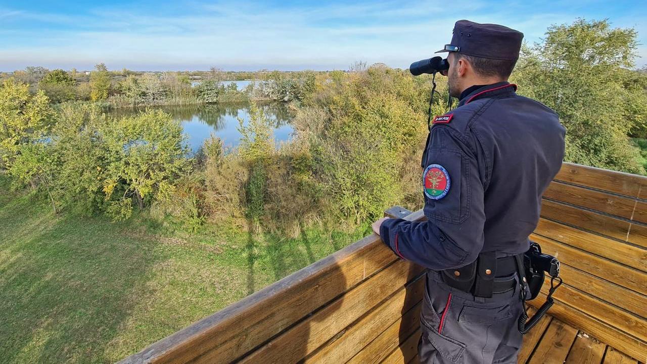 Un carabiniere forestale al lavoro (foto d'archivio)