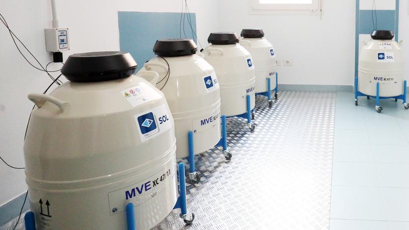 Indagine sugli embrioni a Lagosanto, l’Ausl: «Riorganizzazione equa e dovuta»