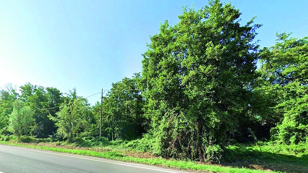 Il terreno di via Vico dove avrebbero dovuto sorgere le 19 villette di edilizia convenzionata e le 4 di edilizia “libera”