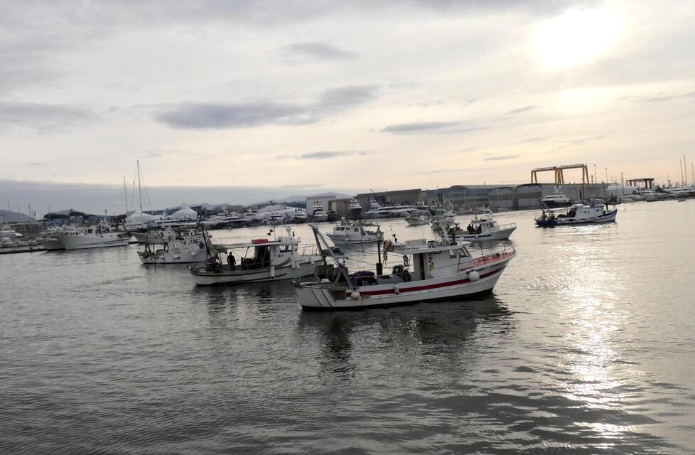 
	I pescherecci all'imboccatura del porto (foto d'archivio)

