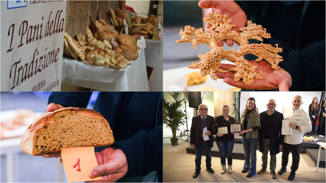 Tundu, Coccoi e carasau: premiati i pani di Sardegna – ecco quali sono
