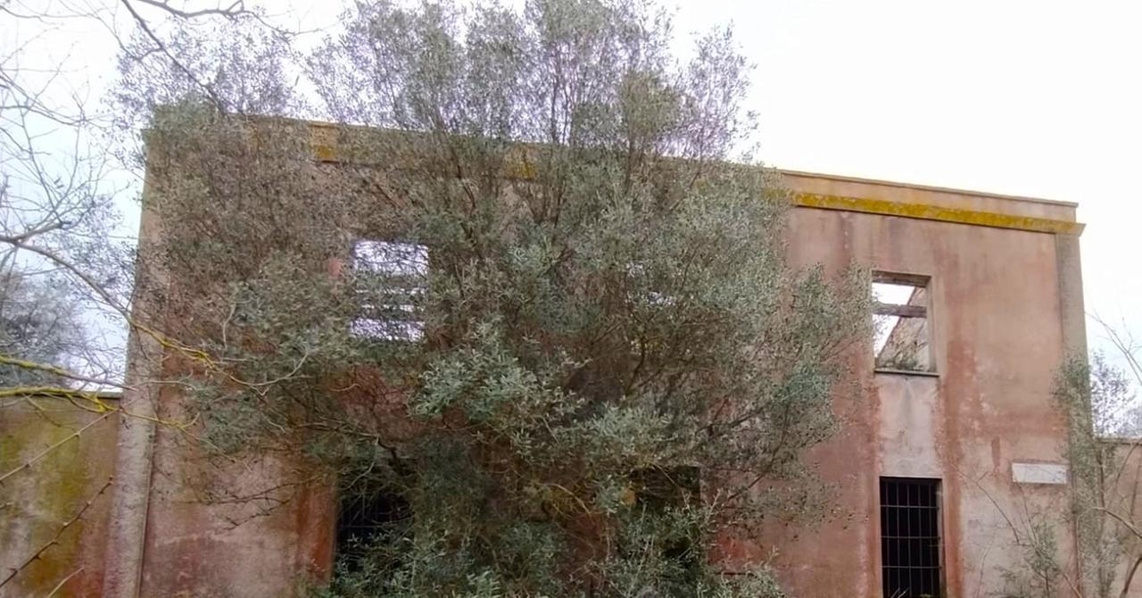 
	La cantoniera Spadulazzu tra Telti e Monti

