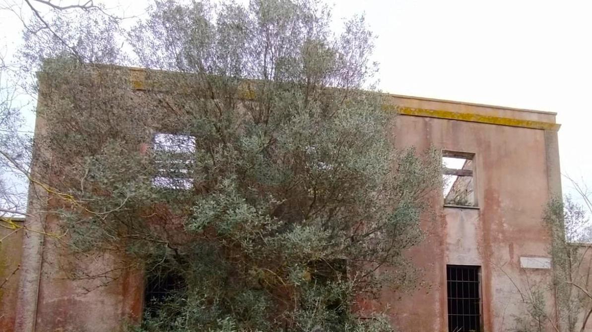 La cantoniera Spadulazzu tra Telti e Monti