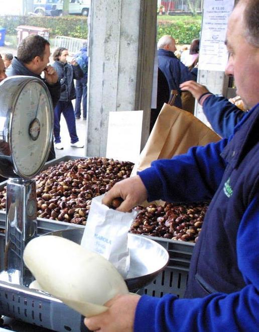 Zocca, la collina rilancia la coltura del castagno 