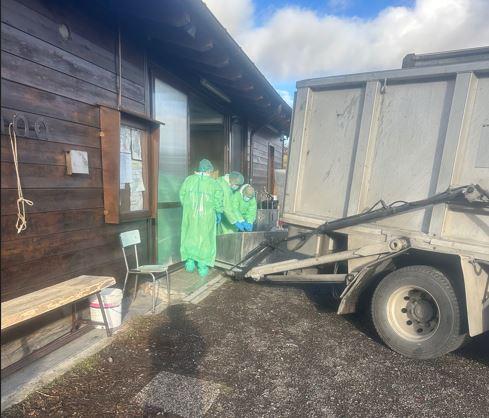 Peste suina africana, primo allarme a Reggio Emilia: trovati due cinghiali positivi a Villa Minozzo