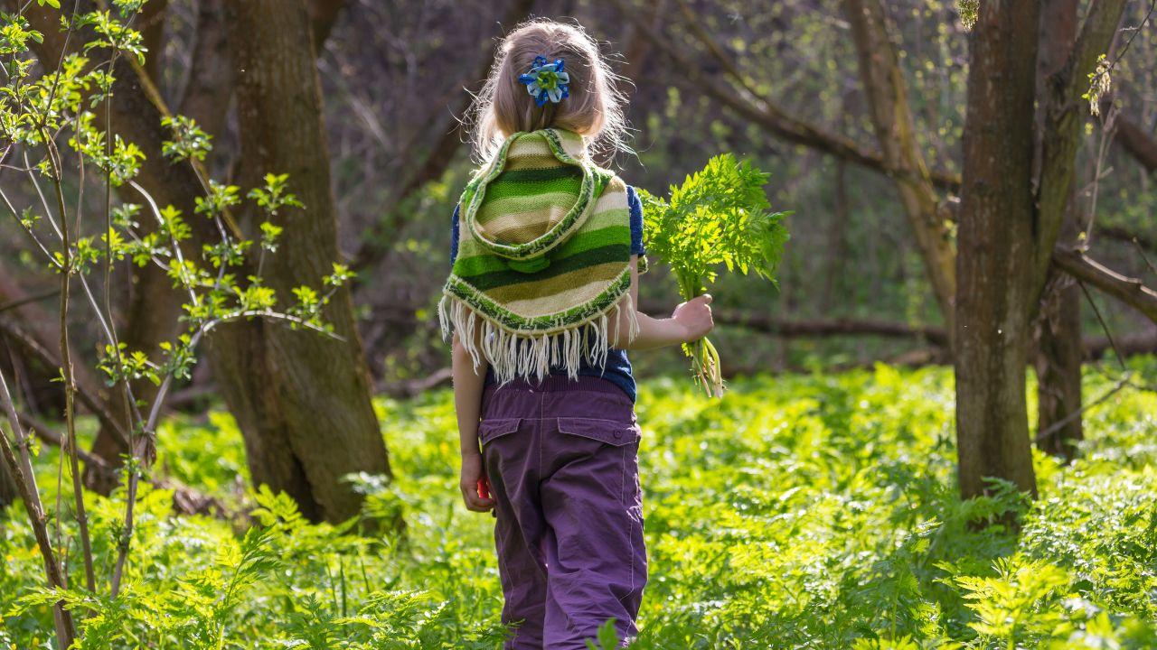 Il caso in Toscana (Foto di repertorio)