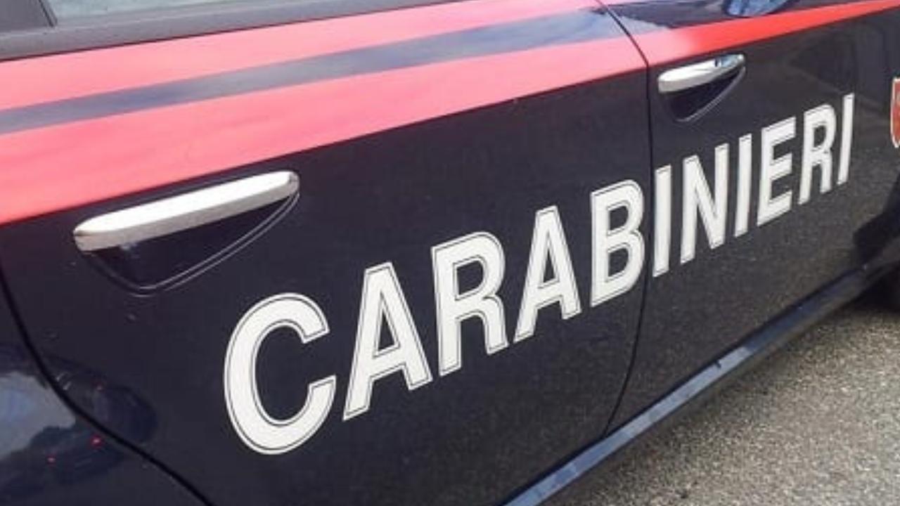
	Sul posto i carabinieri (Foto di repertorio)

