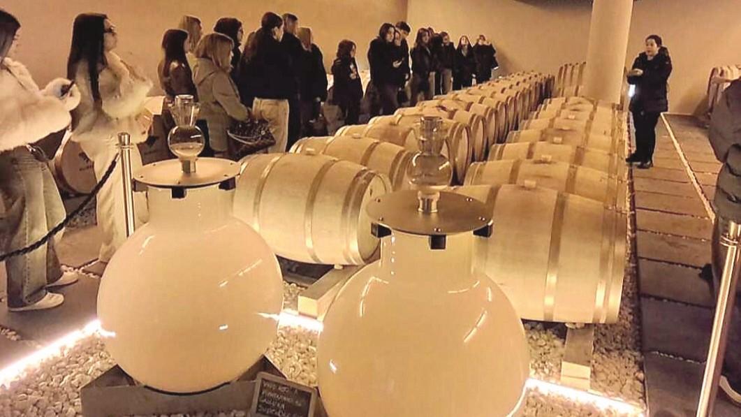 Dalla terra nasce l’impresa e profuma di vino e cultura: gli studenti in visita alle Cantine Surrau – VIDEO