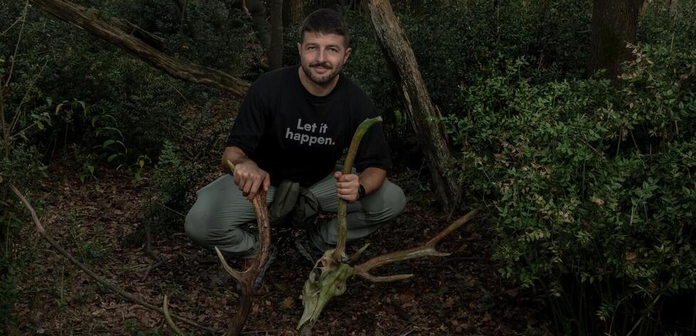 Mesola, il cervo italico specie a rischio. Ma c’è un progetto per salvarlo