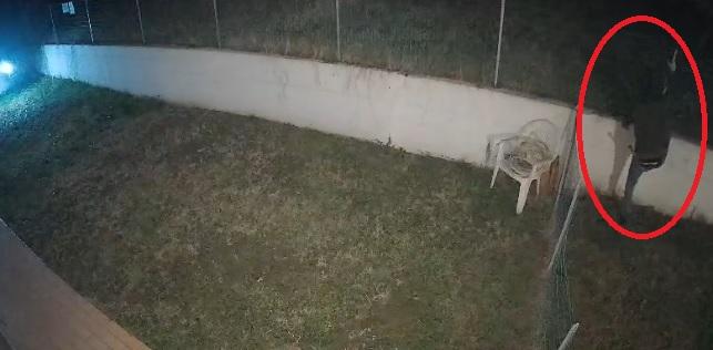 
	Il ladro ripreso dalle telecamere

