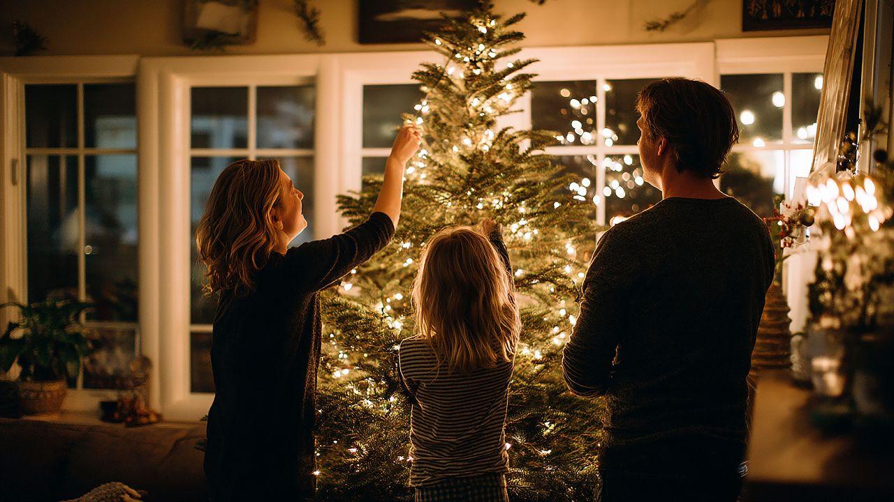 Natale green, Toscana regina degli abeti: i giovani puntano sull’albero vero – Frutta e marzapane: boom di addobbi naturali