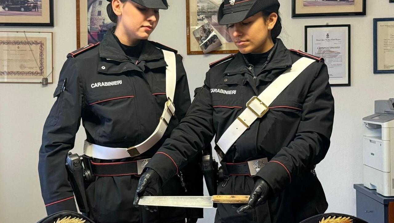 Baby rapinatore individuato a Ferrara, si cercano i due complici