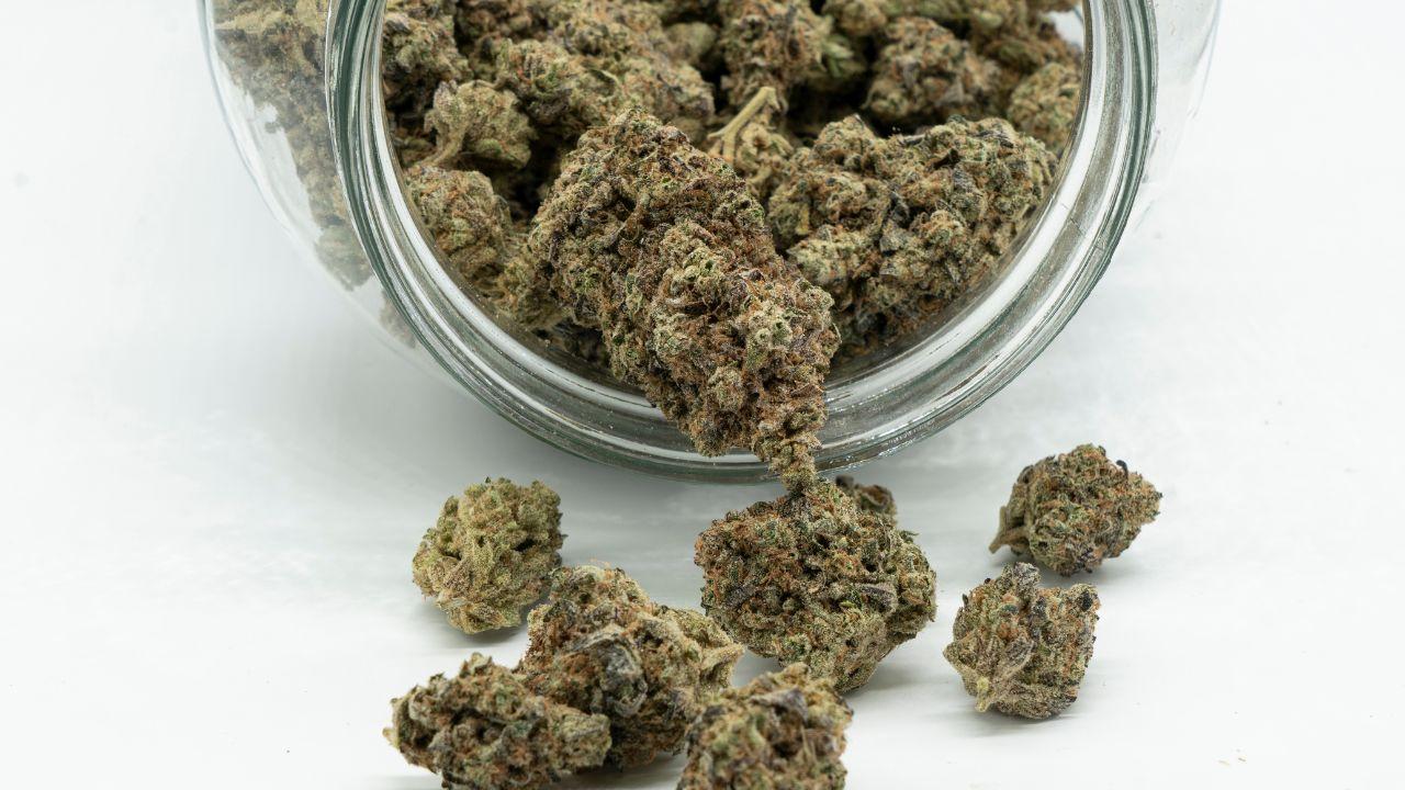 Il giovane aveva fumato cannabis light