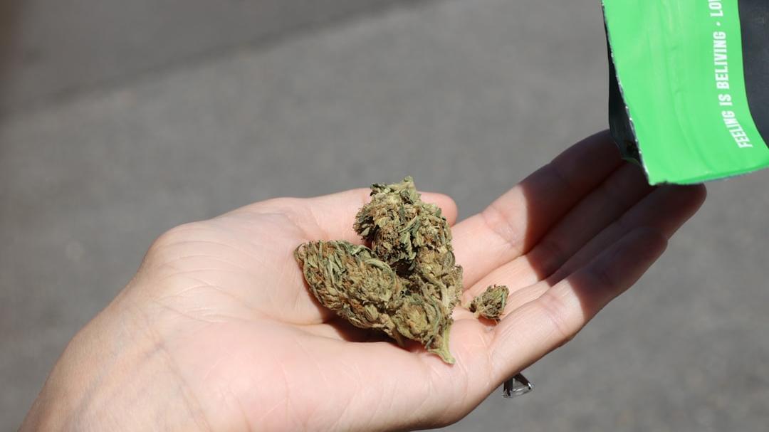 Sassari, a scuola con la cannabis nello zaino: chiesta la condanna di uno studente