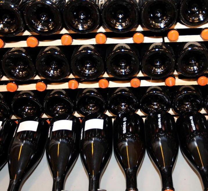 In alto i calici! Il lambrusco brinda ad un’altra buona annata 