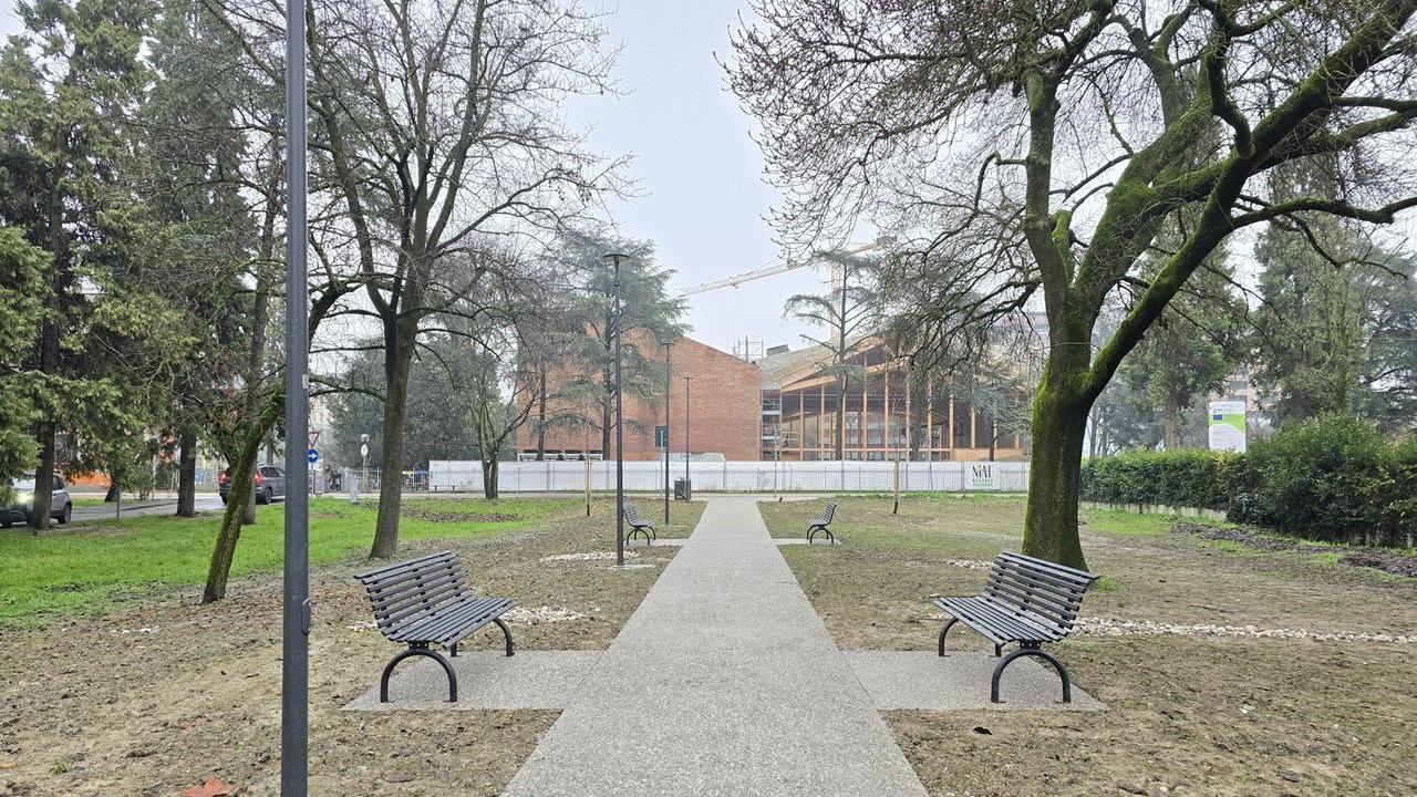 Il Parco del Legno riapre nel cuore del Gattaglio: nuove luci, arredi e area cani