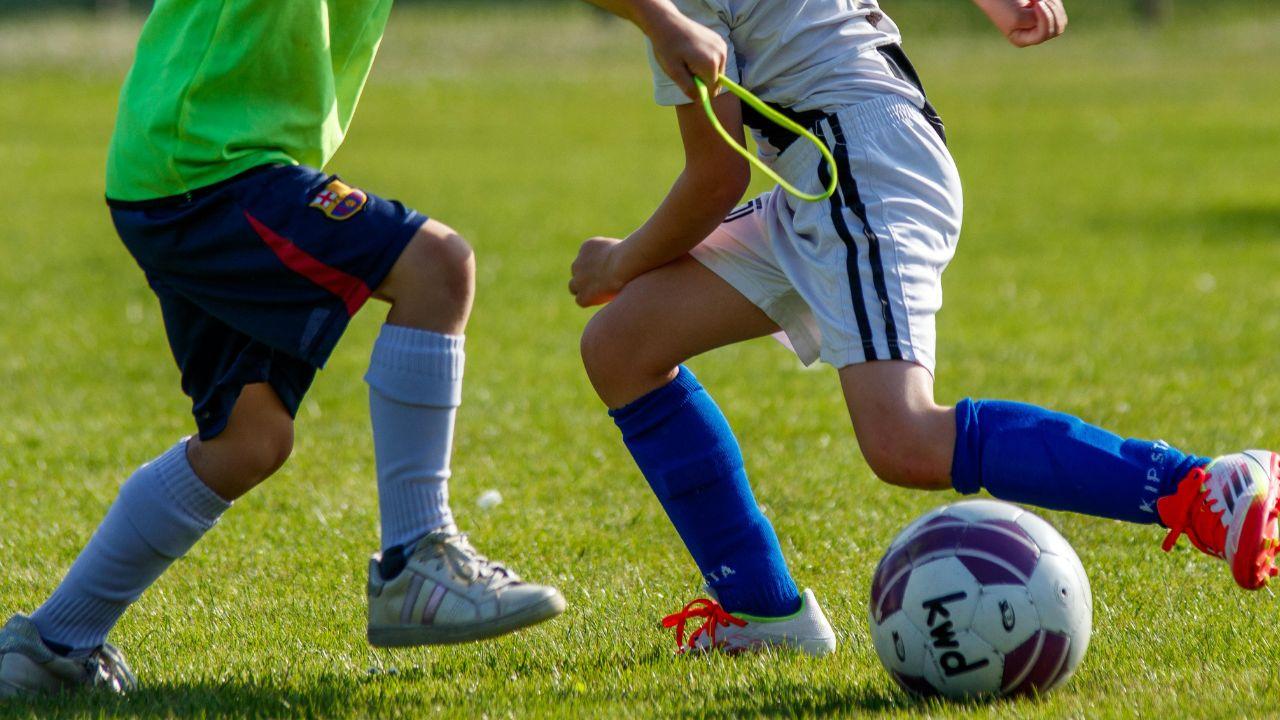 
	La domanda scade il 10 dicembre

