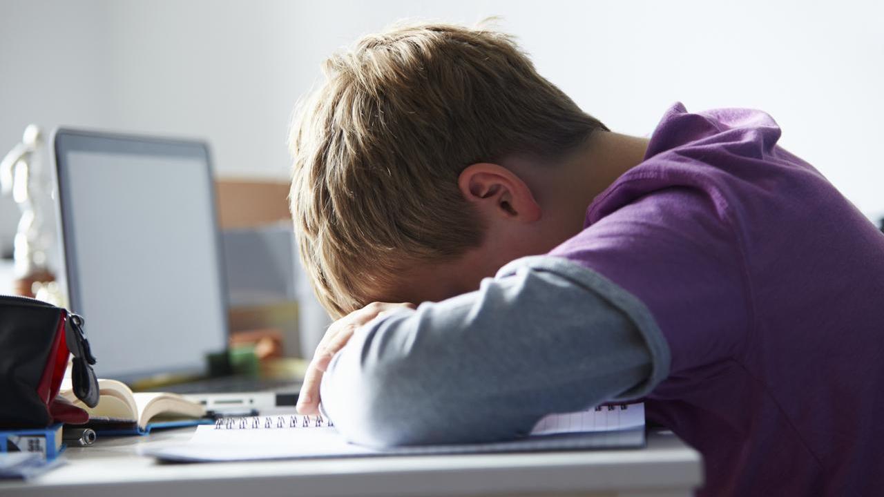 Bonus psicologo, on line le graduatorie dei beneficiari – tutti i dettagli