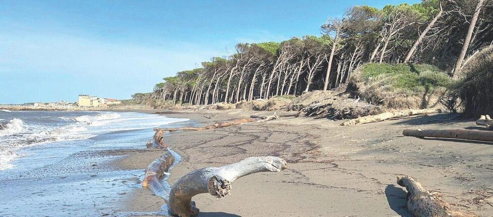 
	La spiaggia del Tombolo Sud

