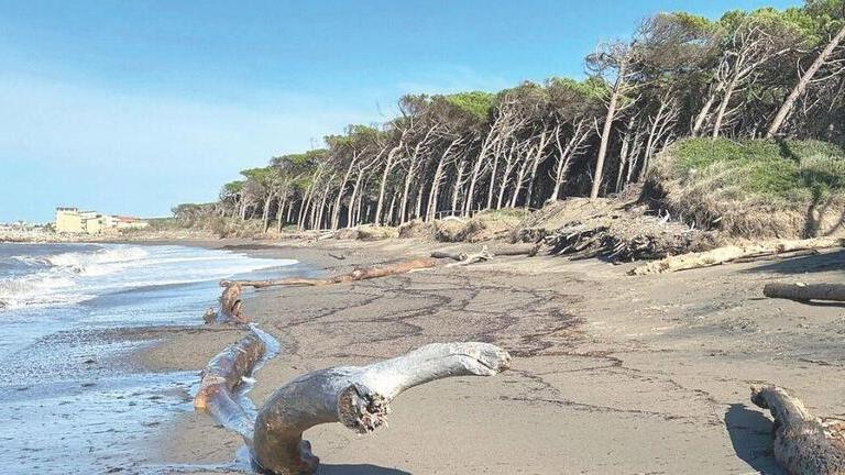 La spiaggia del Tombolo Sud