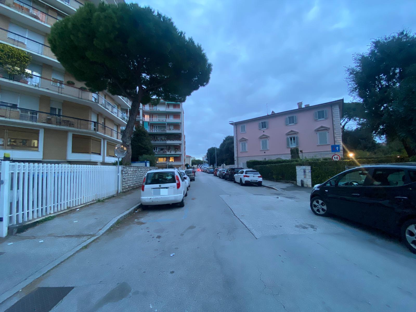 Una veduta di viale Rosa del Tirreno