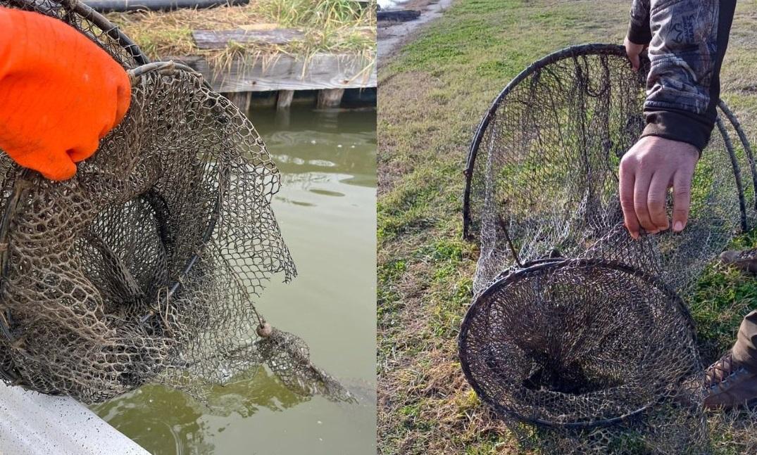 Barca rubata e reti tagliate nelle Valli di Comacchio, i sospetti cadono su giovanissimi