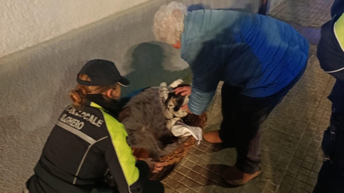 Alghero, incendio in una palazzina: in salvo una donna