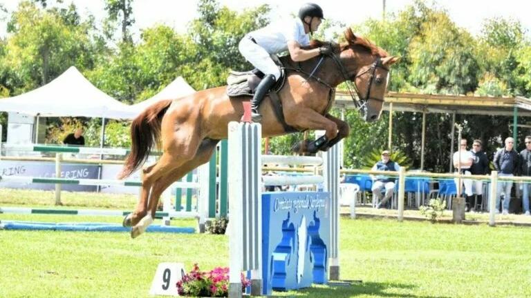 Oristano, progetto da 150mila euro per il maneggio e le scuderie della Soe