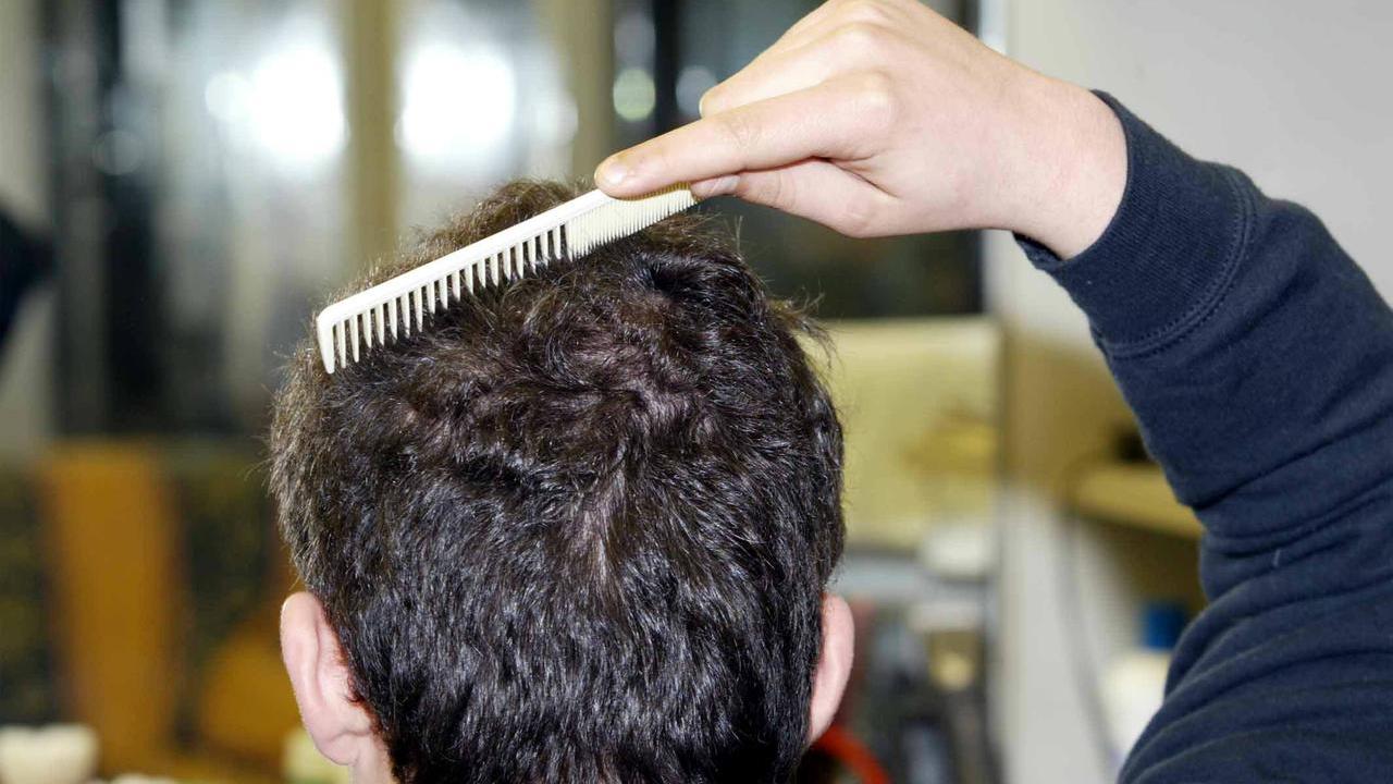 Pidocchi in classe a Porto Garibaldi, i timori dei genitori