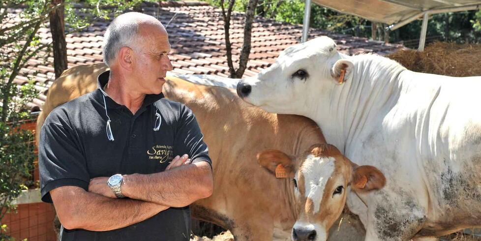 
	Fausto Savigni &egrave; morto all'et&agrave; di 75 anni

