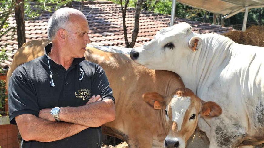 Fausto Savigni è morto all'età di 75 anni