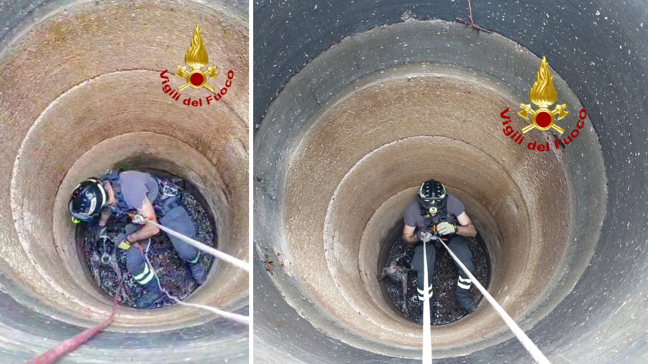 Un cane finisce nel pozzo: intervengono i vigili del fuoco