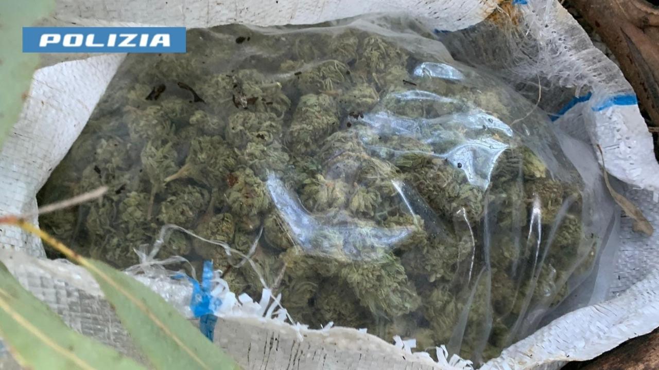 Quattro indagati e dodici chili di marijuana sequestrati: tra i clienti anche minorenni