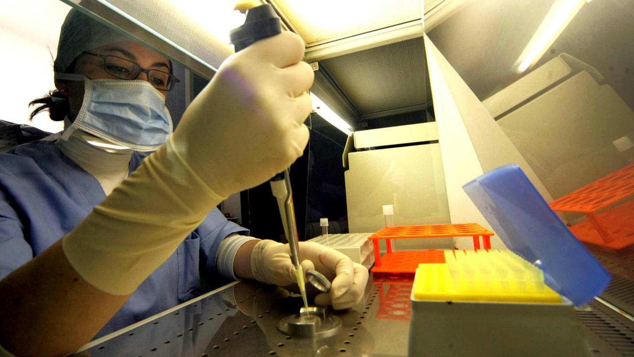Donatore di sperma con mutazione genetica: nati 197 bambini ad altissimo rischio cancro