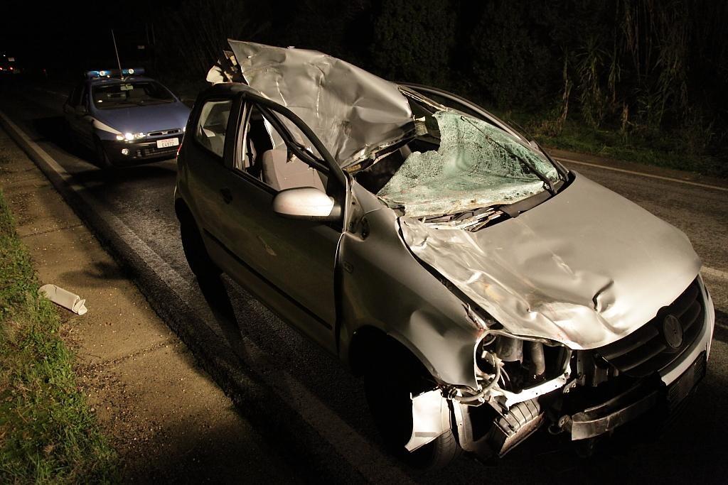
	Un'auto danneggiata dopo l'impatto con un cavallo (foto d'archivio)

