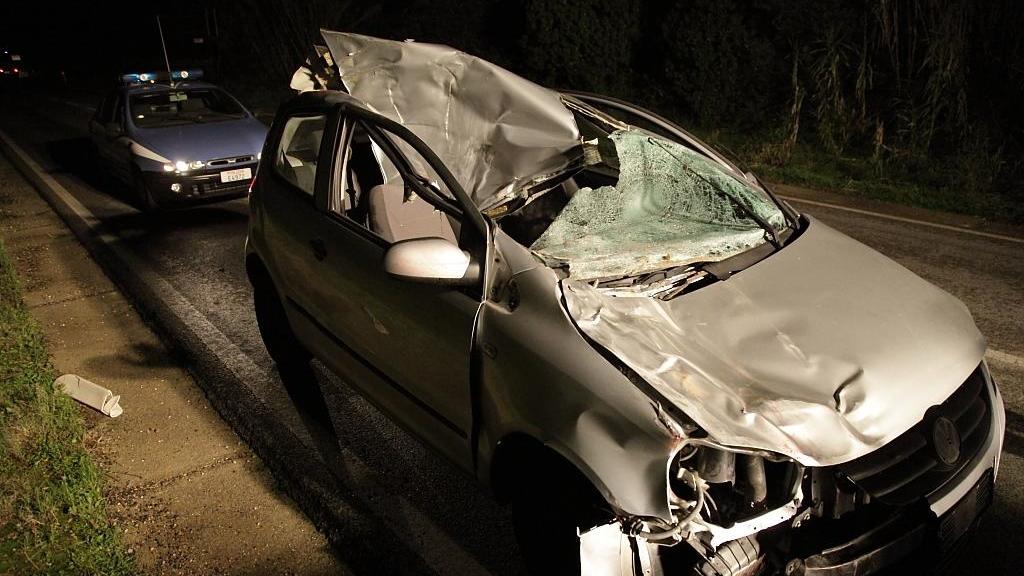 Un'auto danneggiata dopo l'impatto con un cavallo (foto d'archivio)