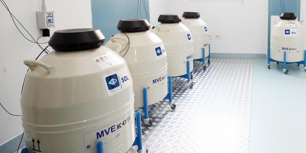 Sequestro embrioni a Lagosanto, il giudice rigetta la richiesta