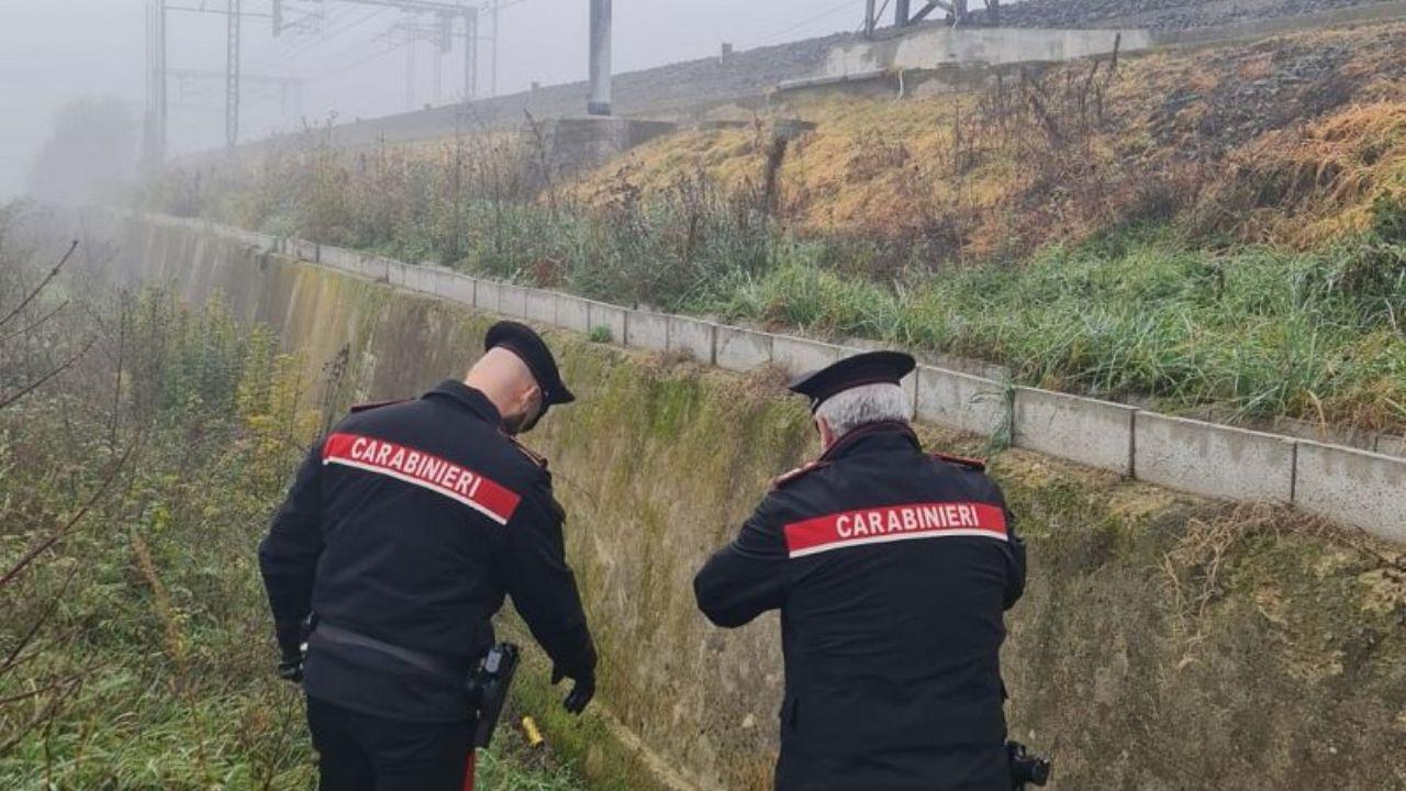
	L'operazione dei carabinieri

