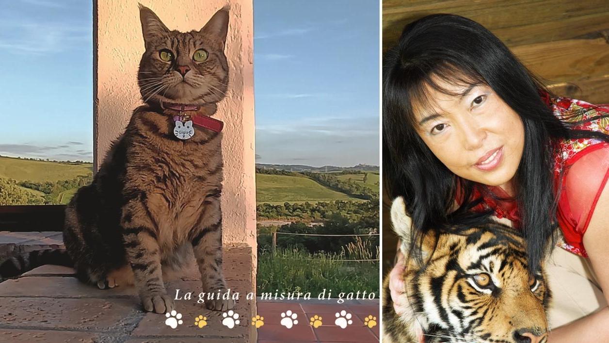 La copertina della guida e Jasmin L. Quan