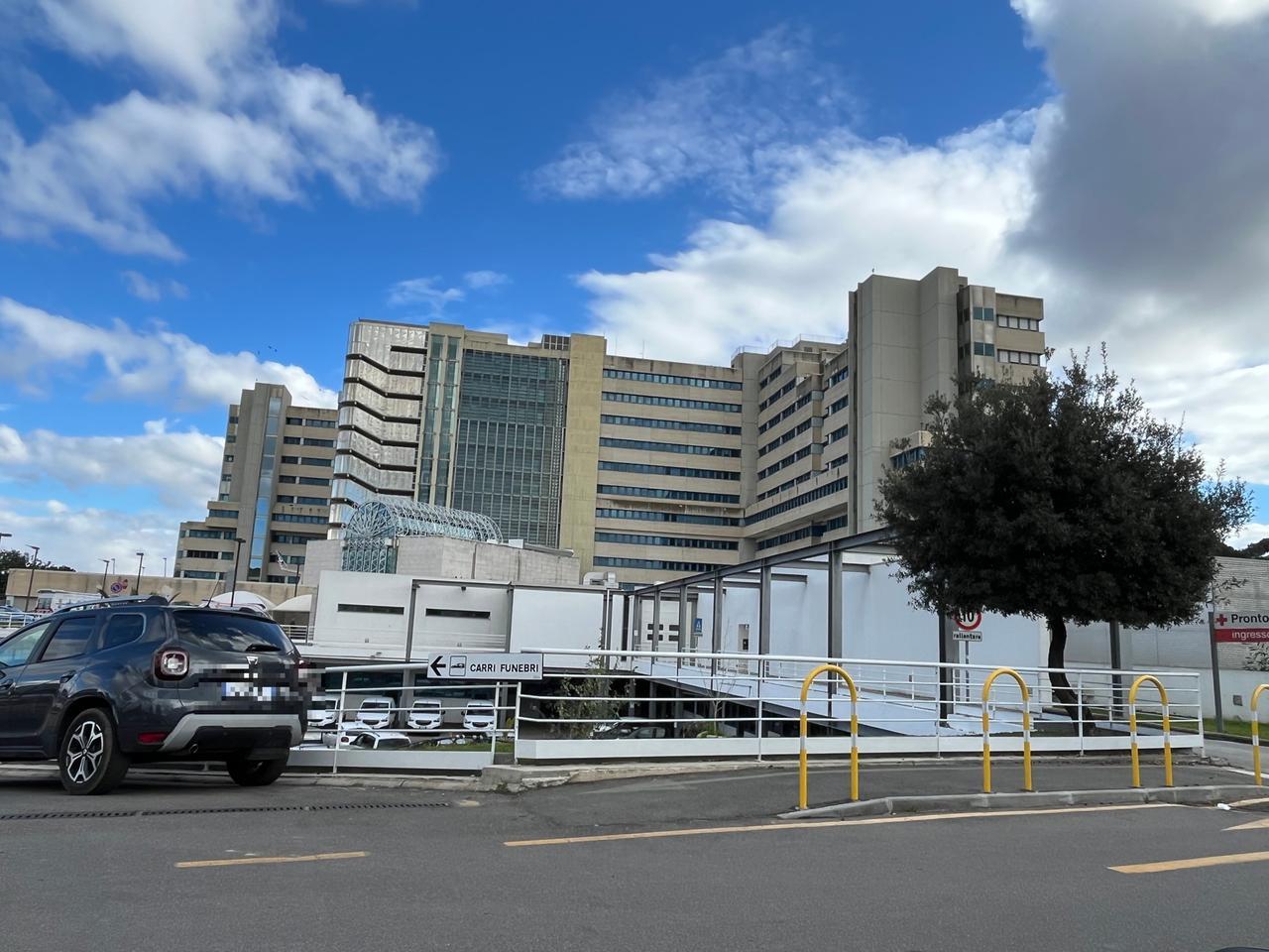 
	<em>(foto Rosas)</em>

