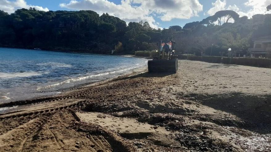 Ruspe in azione per la pulizia