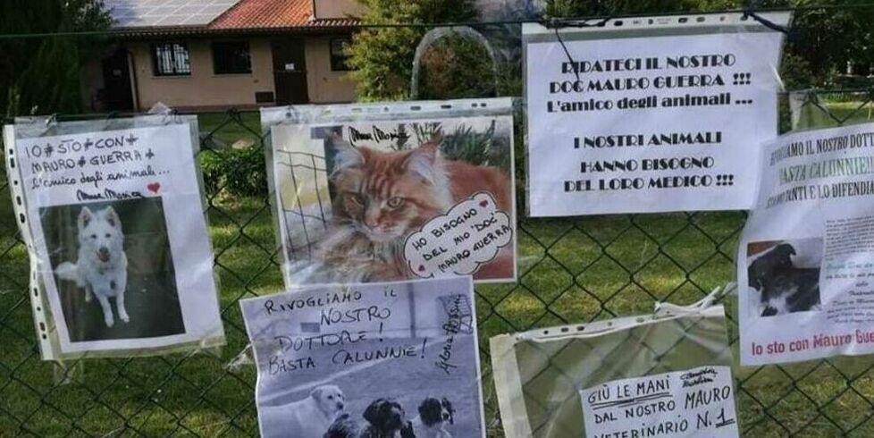 Ravenna, per il veterinario i conti in aula: «Non c’è la sproporzione indicata»