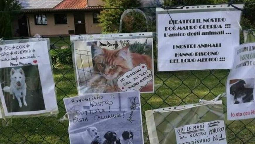 Ravenna, per il veterinario i conti in aula: «Non c’è la sproporzione indicata»